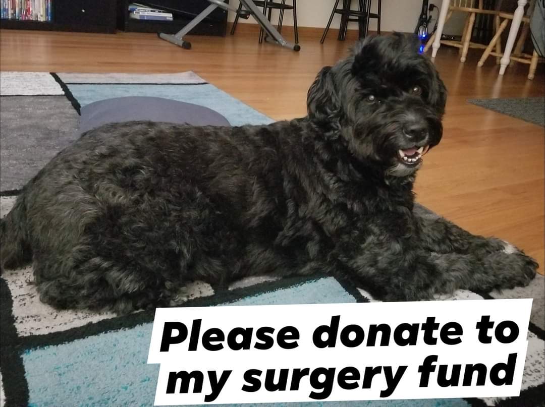 esthereto's tweet photo. I would like to kindly ask for a humongous favor in honor of her upcoming 7th birthday on Monday; can you share her GoFundMe or PayPal pool on your page, please?
https://t.co/6avTkmfDnm
https://t.co/KJu9UghBKF
Thank you for your help ☺️
#GoFundMe #PayPalPool https://t.co/MbOFBpqvEc