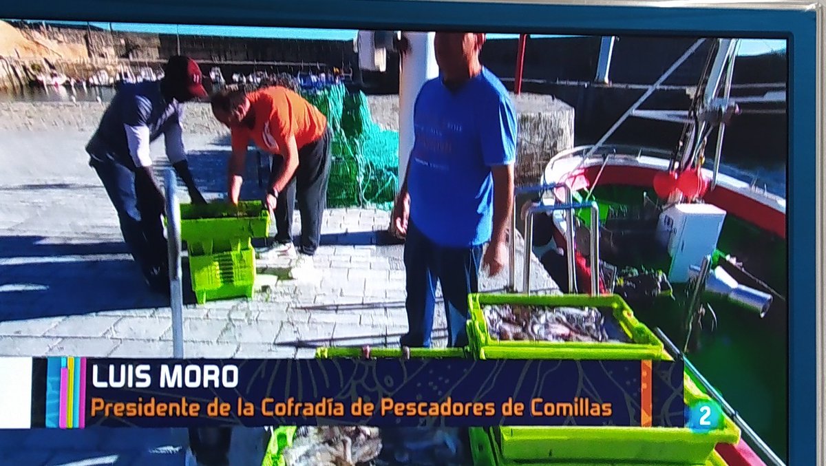 rosamalonsop's tweet photo. Da gusto ver a #Comillas está mañana en #ZoomTend @ZoomTend_Tve
No veo el momento de volver!!
#ComillanaDeAdopción
@ComillasTurismo @UCOMILLAS https://t.co/qFxOn9fVv1