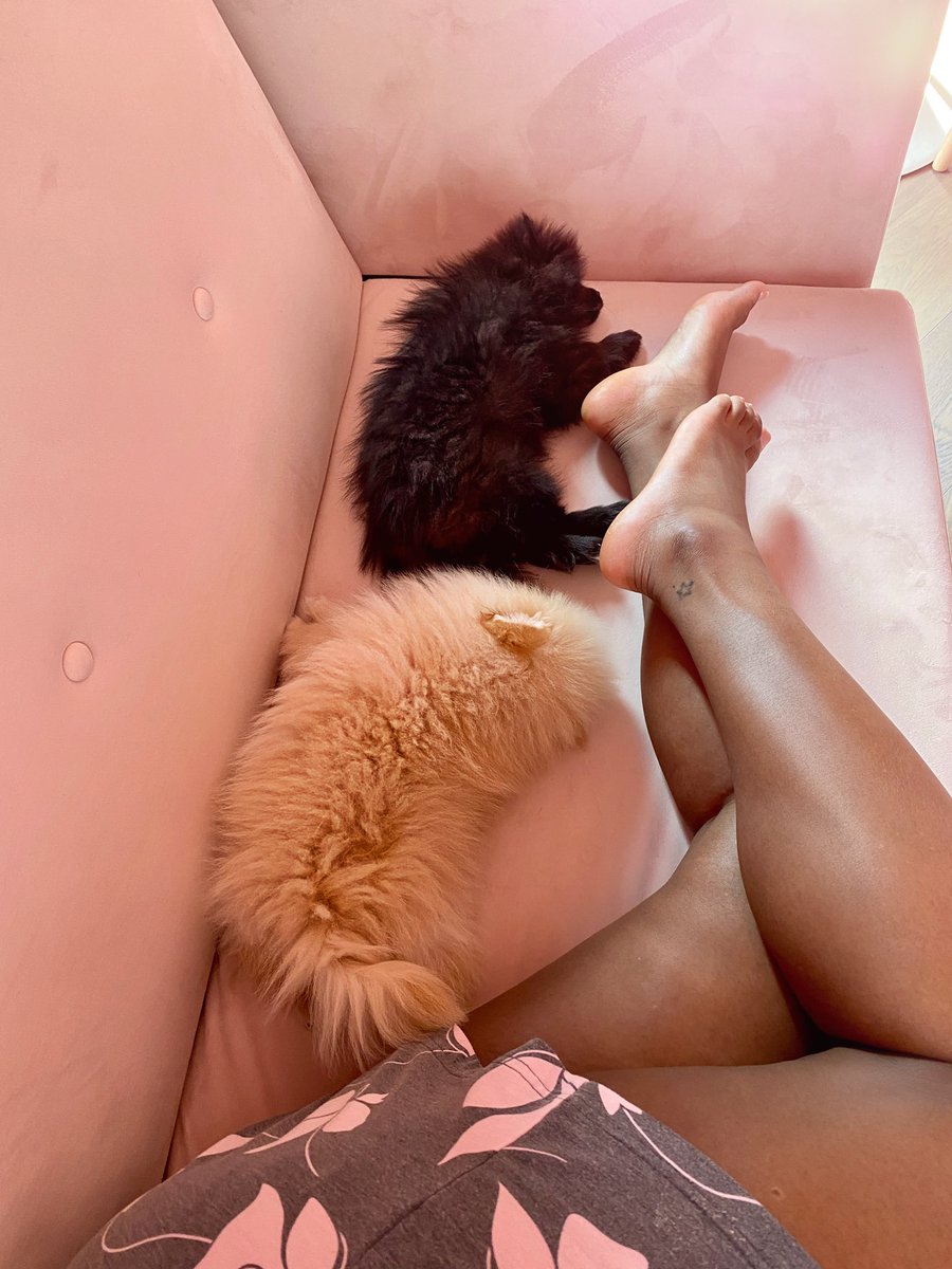 cuppymusic's tweet photo. Relax today... You'll live longer and perform better! 🐕🐾  #HappySunday https://t.co/MwX2oL0cxH