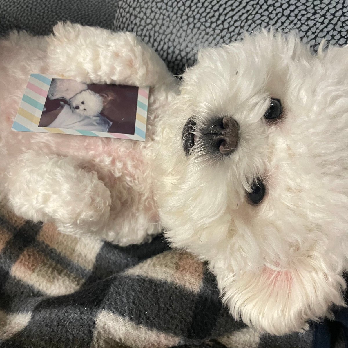 SVT_Membership's tweet photo. [#MINGYU❤️ Weverse]
210509 -20:19 KST-

➸ 💯❤️

#민규 #SEVENTEEN #세븐틴 https://t.co/6FXrQ7P190