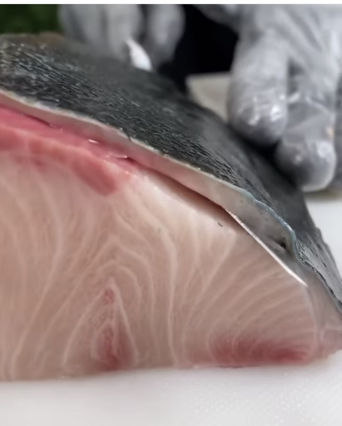 洸 この皮の引き方斬新な 身ごとかっさらってるやんw 皮と身の間美味いんよ ぶり 鰤 養ぶり 養鰤 ブリ 皮引き T Co Uwemrgfgbb Twitter