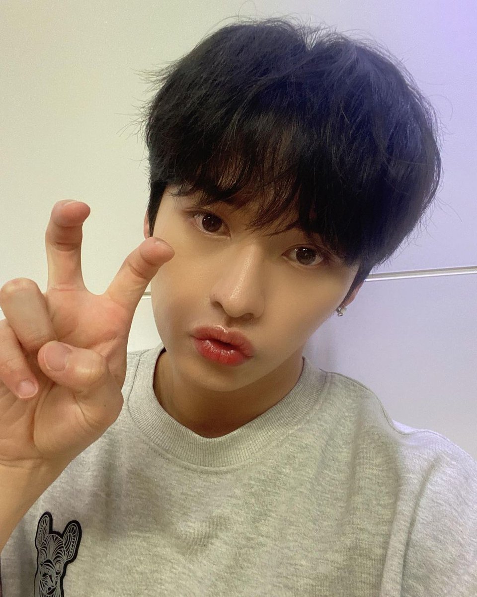 a thread of lee know noot noot because linoot is one of the reasons to live. @Stray_Kids