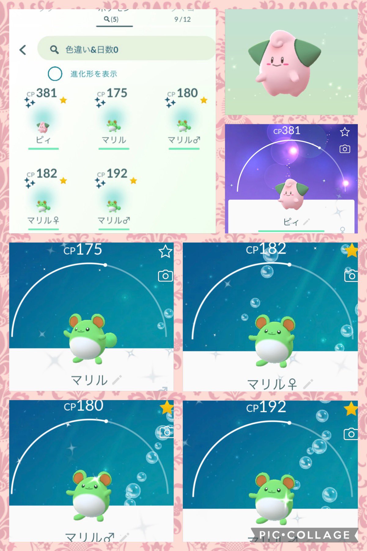 ミント マリルのリサーチデイ お疲れ様でした 色違い4体で は0だったけど 98 2体でした から4体目のピィも ルリリがよかったな とか言ってみる ポケモンgo 色違いマリル 色違いピィ T Co Dksvweopiw Twitter