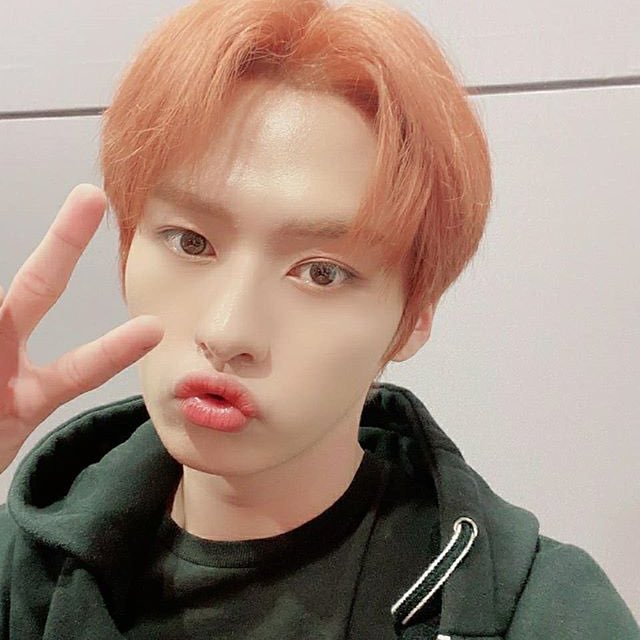 a thread of lee know noot noot because linoot is one of the reasons to live. @Stray_Kids