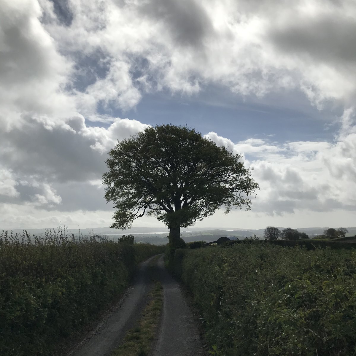 There are few roads in this area, but we found one that we hoped was heading into roughly the right area. We turned onto a tiny lane that seemed to wind its way through those woods we had seen, close to the tree. We came out into open country, crested a hill and saw this.