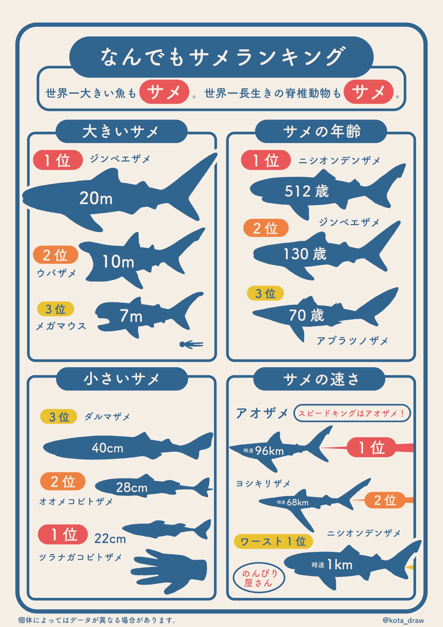 ট ইট র こた サメのインフォグラフィックス 3 なんでもサメランキング 大きさや年齢 速さに関するサメのランキングをまとめました T Co Imtav3lnxp ট ইট র