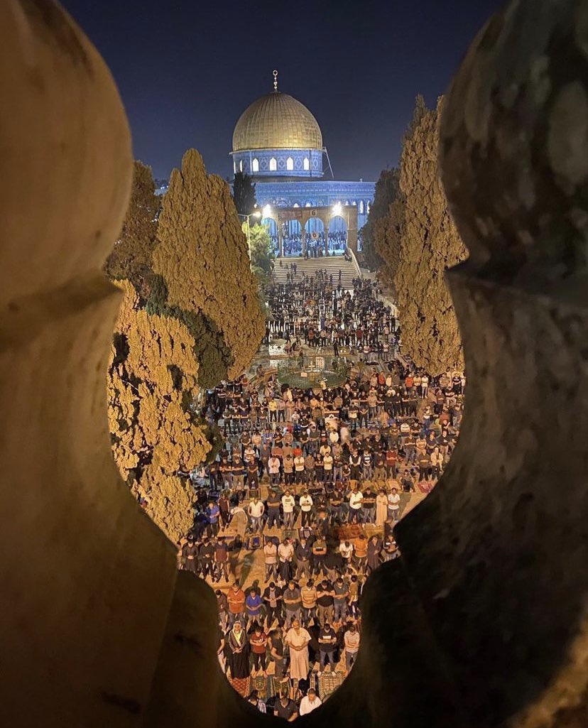 ربنا ينصر أهلنا واخواتنا في فلسطين 🇵🇸
#انقذوا_حي_الشيخ_جراح
#القدس_عاصمة_فلسطين_الأبدية 
#savesheikhjarrah