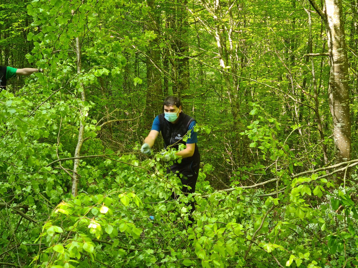 Voluntariado ambiental de <a href="/CajaRuralNav/">CajaRuralNav</a> y otras delegaciones participan en un #auzolan con vecin@s de <a href="/aribe_aezkoa/">Aribe</a> limpiando el sendero de <a href="/iratiaritza/">Irati Aritza Robledal</a> #Aribe mirador de #zamariain

#Navarra #Pirineonavarro #voluntariado #sostenibilidad
#MedioAmbiente