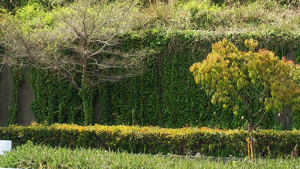 ぱる Takeakimama01 Twitter