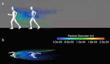 Je voudrais maintenant attirer votre attention sur le cas très particulier de joggeurs courant l'un derrière l'autre : celui qui mène la danse laisse une traînée d'aérosols sur son passage, que le suiveur inhale en continu, l'exposant au risque de se contaminer.