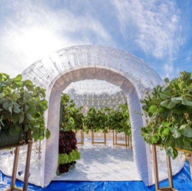 ほざな はままつ على تويتر ドームイベント終了しました 来て下さった皆さま ありがとうございました いろいろなイベントに活躍しそうなufoドーム お問い合わせは 株式会社マラナタまで T Co Nidfdanyy5 佐鳴湖公園 イベント カフェ 挙式