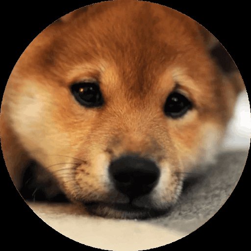 Now ! We can hear the Doge howling 🐶
#dogecoin