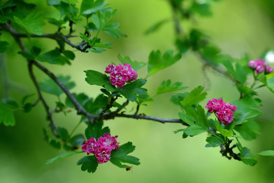 内田 平孝 Hiratakauchida Twitter