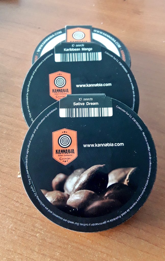 AdrycManellson's tweet photo. Hace tiempo Verde Mundo, no uso #LED.
Y me gusta, gratos recuerdos de #CultivosPasados.
Así pues en #AdrycsCove,
nuevo con #Autos de @GreenbudSeeds
y otro mi Hada @INMAQ16,
este #Sativa vrs #Indica de @KannabiaSeeds bajo #PureLed480 by @DPlantasur,
#Orgánico @PlagronAruba..🧚♂️😎 https://t.co/WGQ4vipjpX