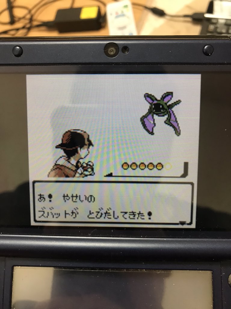 ポケモン金 Twitter Search ポケモン金 Twitter Search