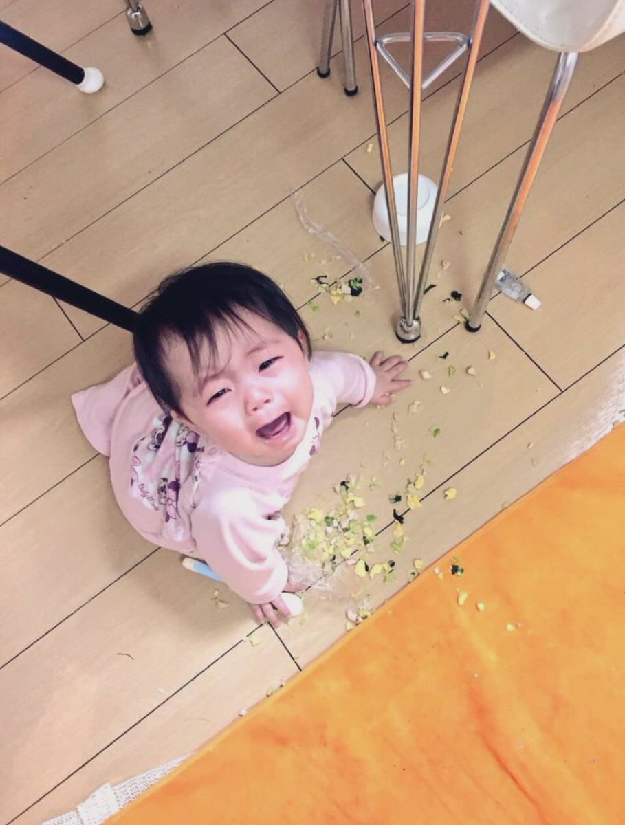 Balis3103N's tweet photo. あーぁあ❗️w
自分のごはんを伝い歩きで落としちゃいました😂💦
新しいの作ってもらえるし
ダイジョブ٩꒰｡•◡•｡꒱۶💕
#えれにゃん #成長記録
#赤ちゃん #BarBalis 
#バリ島 #カクテル
#コピルアク #珈琲
https://t.co/ZyVAqHoKGt https://t.co/vXEaicK4dL