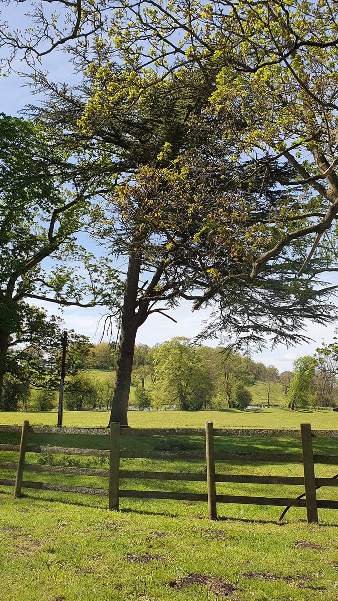 tracyharrison8's tweet photo. Easy like Sunday morning 🚶♀️😊 #Radbourne #Derbyshire https://t.co/yjUHHMDnzj