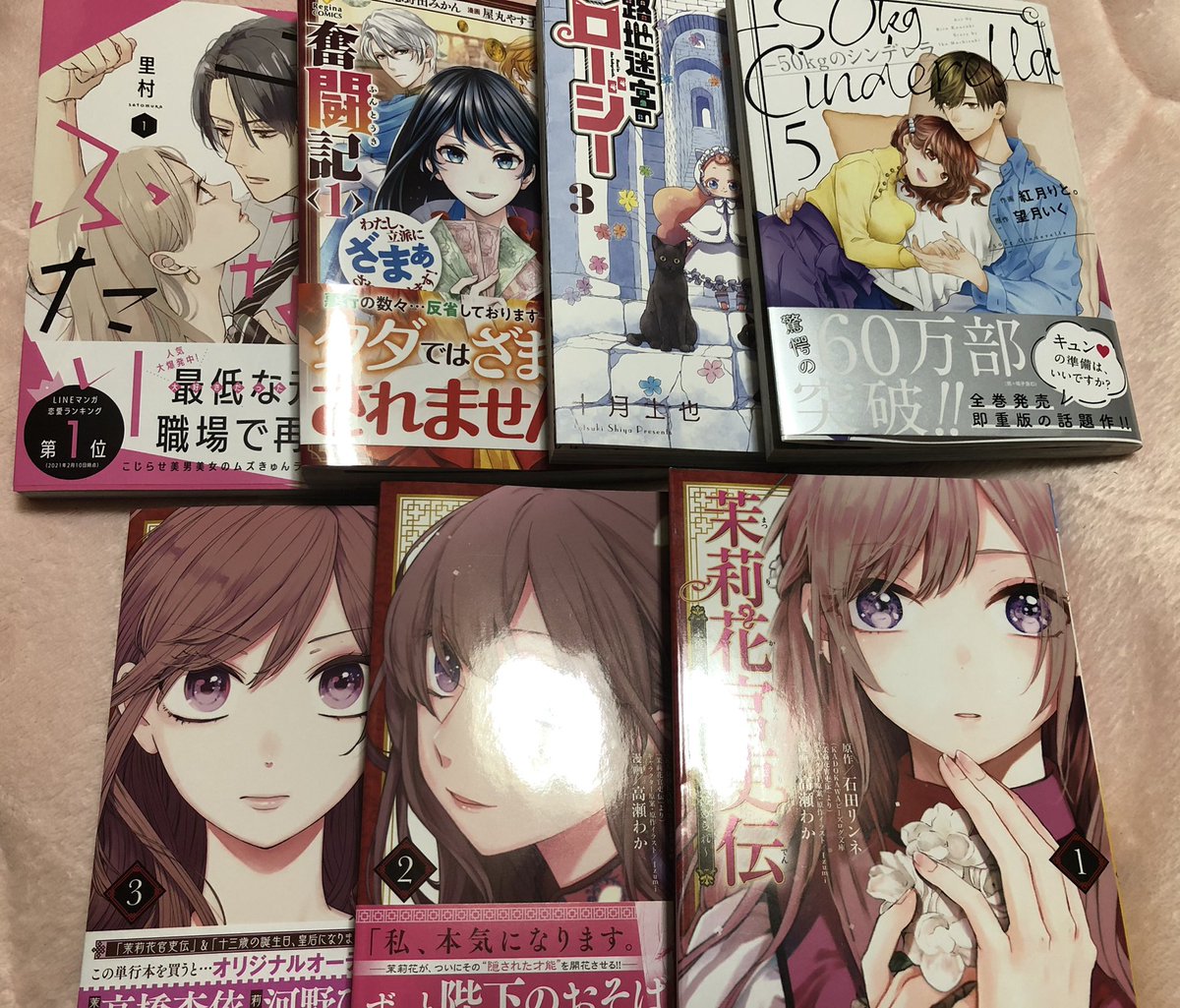 転生侯爵令嬢奮闘記 転生侯爵令嬢奮闘記