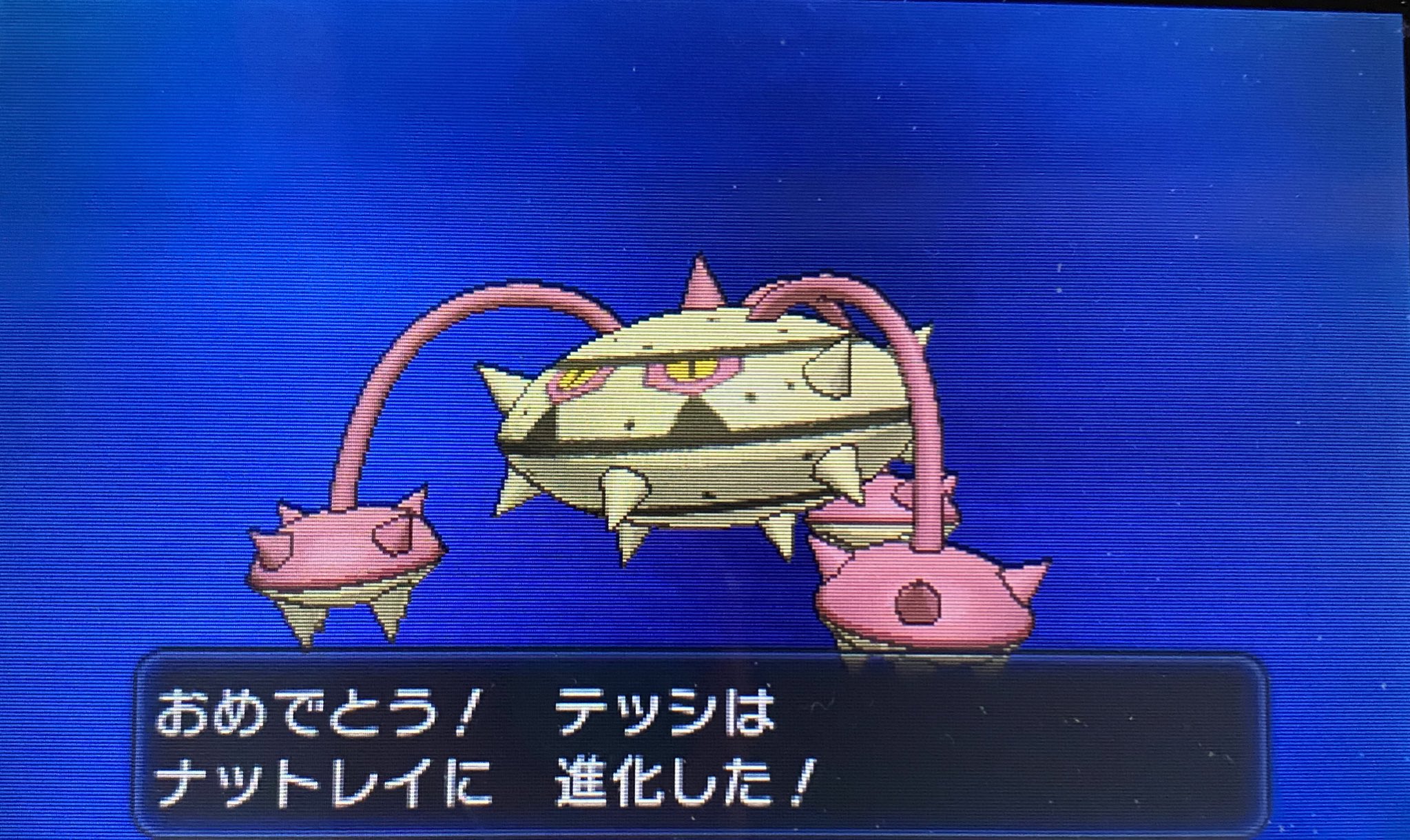 じん ヌメイルと一緒にレベル上げしていた色違いテッシードが先に進化 ナットレイになるとシルバーボディがゴールドに 緑の部分が赤になってなんとも綺麗な色に いい色ですね