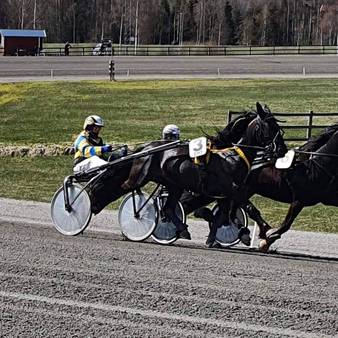 EAsblom's tweet photo. Ibland kan även en 6e plats kännas som en riktig seger 🥰
#ÅttmannÖK #Lindesberg #FornabodaTravbana https://t.co/KRa0Hr87ag