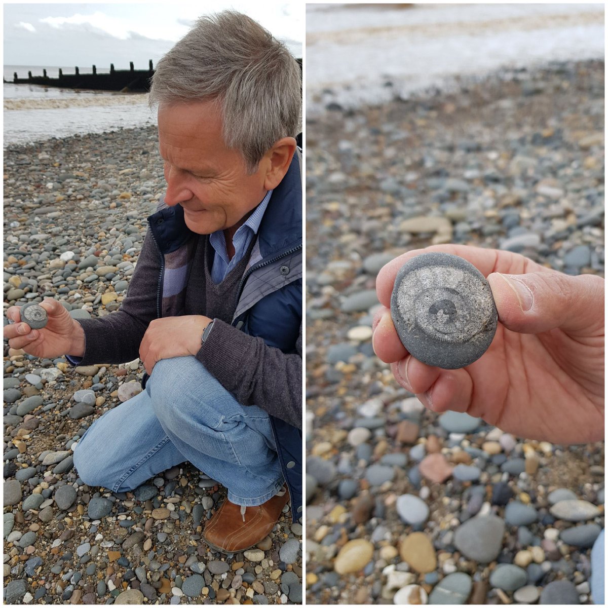 Peter Levy tweet media