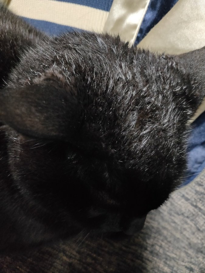 おっぱいバレー 映画 最新情報まとめ みんなの評価 レビューが見れる ナウティスモーション 4ページ目