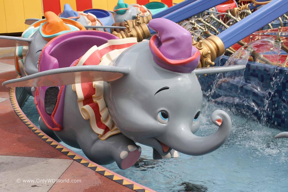Michelle_OWDWT's tweet image. Happy Mother's Day to all the Moms who help their children soar!  #HappyMothersDay #Disney #Disneyworld  #Dumbo  #magickingdom