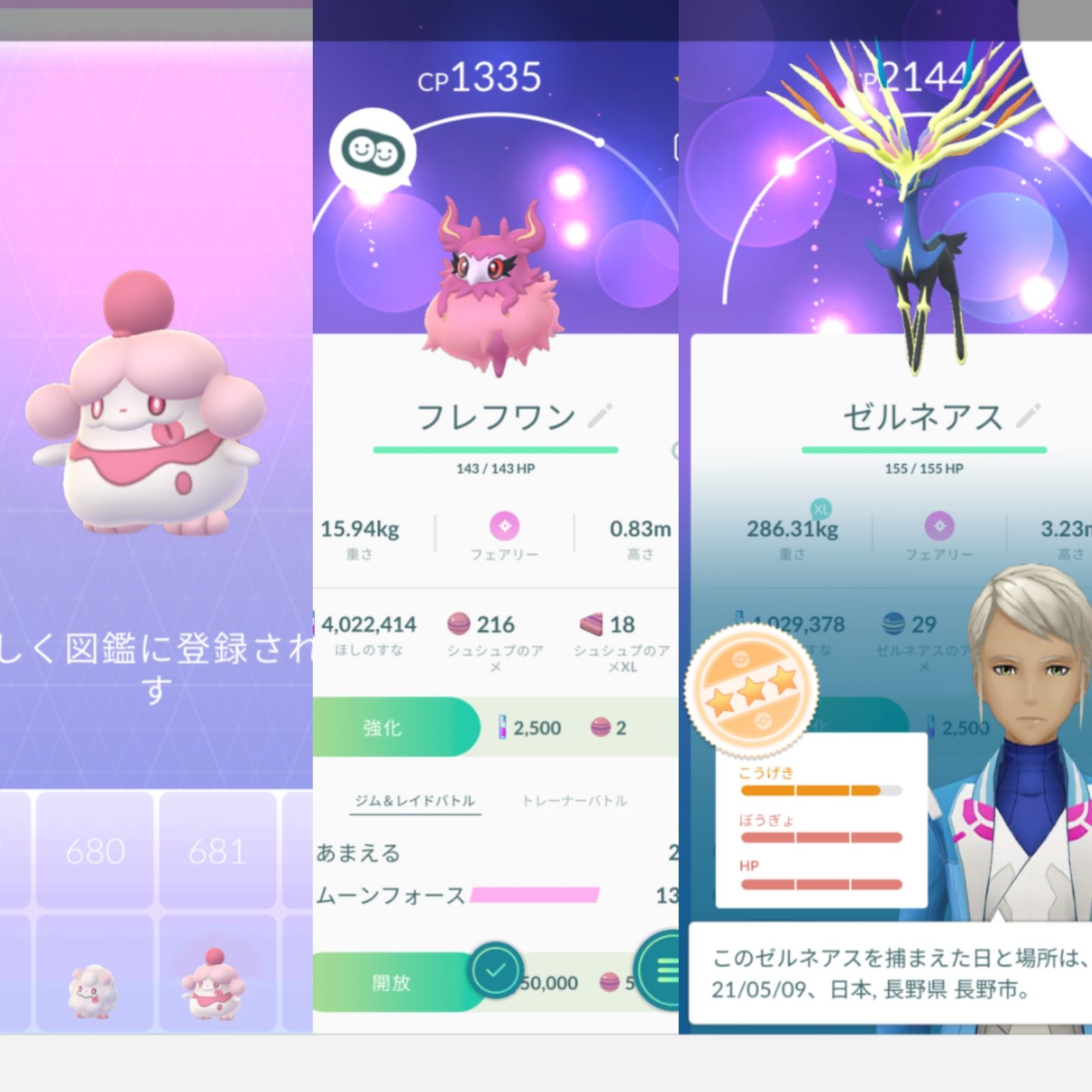 ベリル マリル の リサーチデイ 報酬マリルの 色違い は5匹でした フェアリーレジェンドx の タイムチャレンジ もこなし 新ポケ進化による 図鑑埋め や ゼルネアス のレイドも進みました ポケモンgo Pokemongo ペロリーム フレフワン