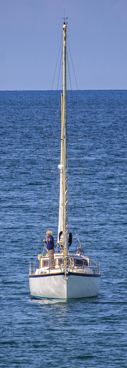 BorthBados 💙🇺🇦 tweet media