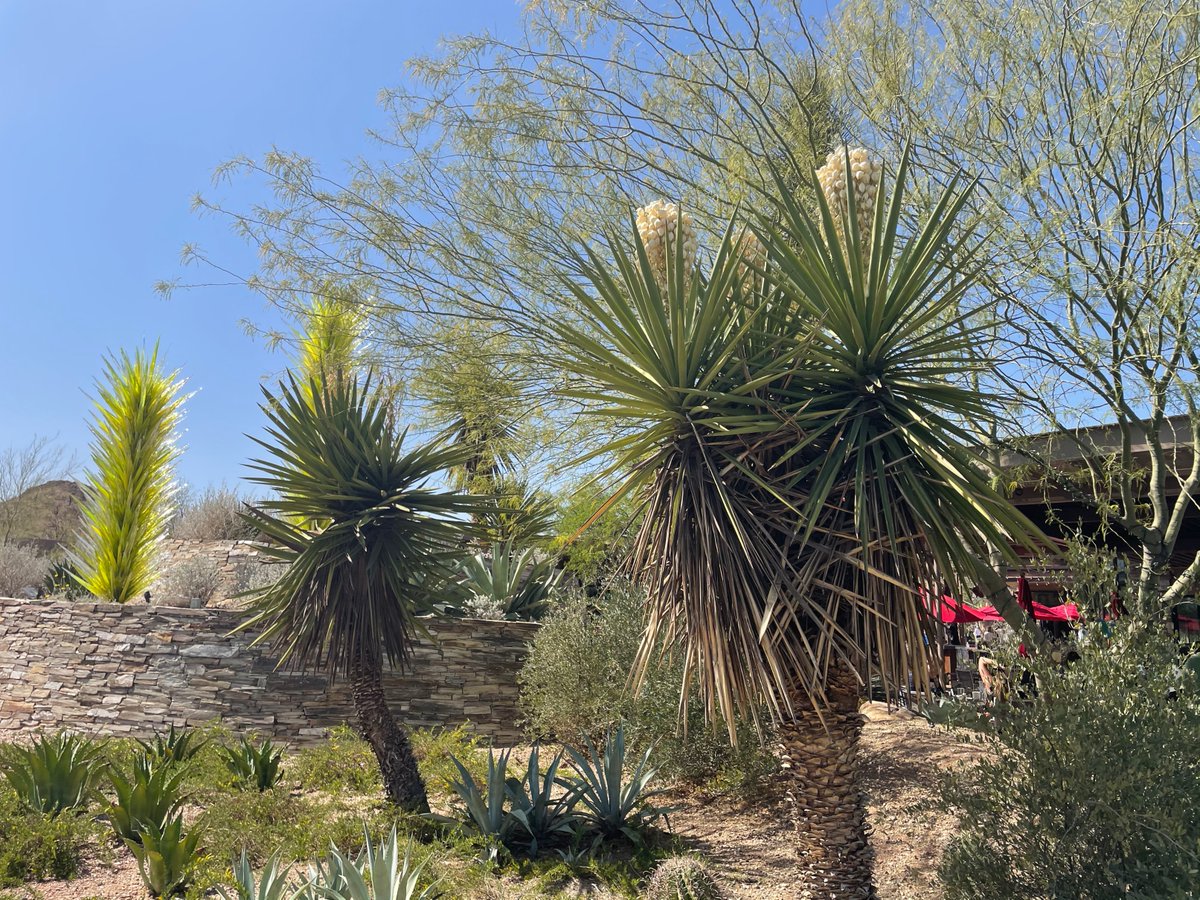 Pamela Morse tweet media