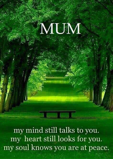 SoapBoxStanding's tweet image. 