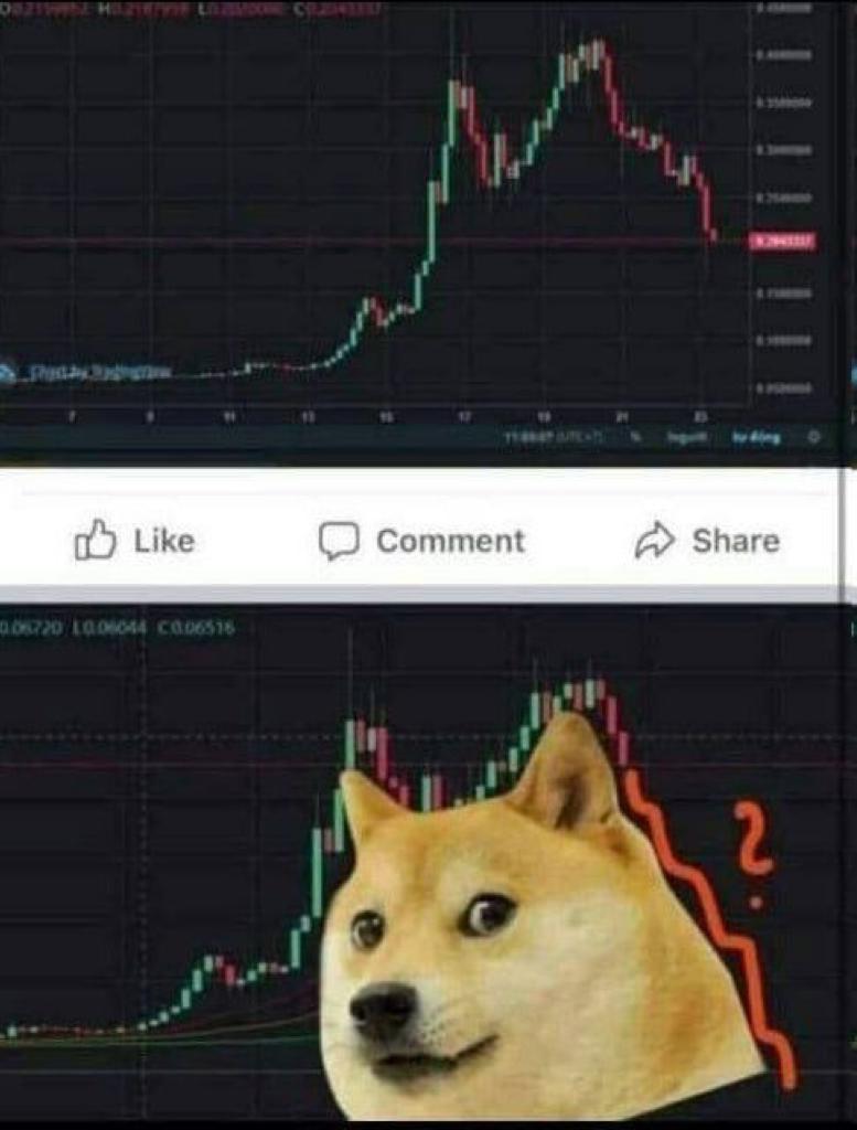 $doge #dogecoin
