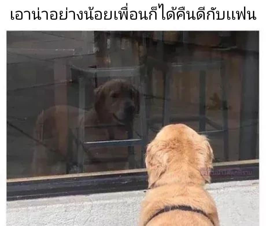 me said :