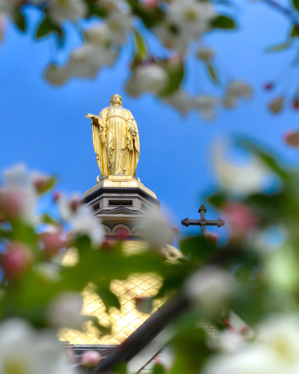 University of Notre Dame tweet media