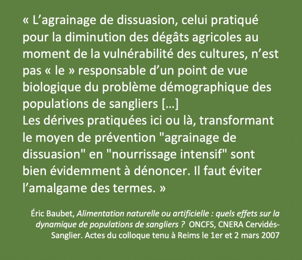 Pour limiter les dégâts alimentaires, plusieurs solutions sont proposées en plus de la chasse qui est indispensable aujourd’hui pour tenter de maitriser les populations. Pour rappel, les lâchers de sangliers sont interdits et punissables de même que le nourrissage. 15/19