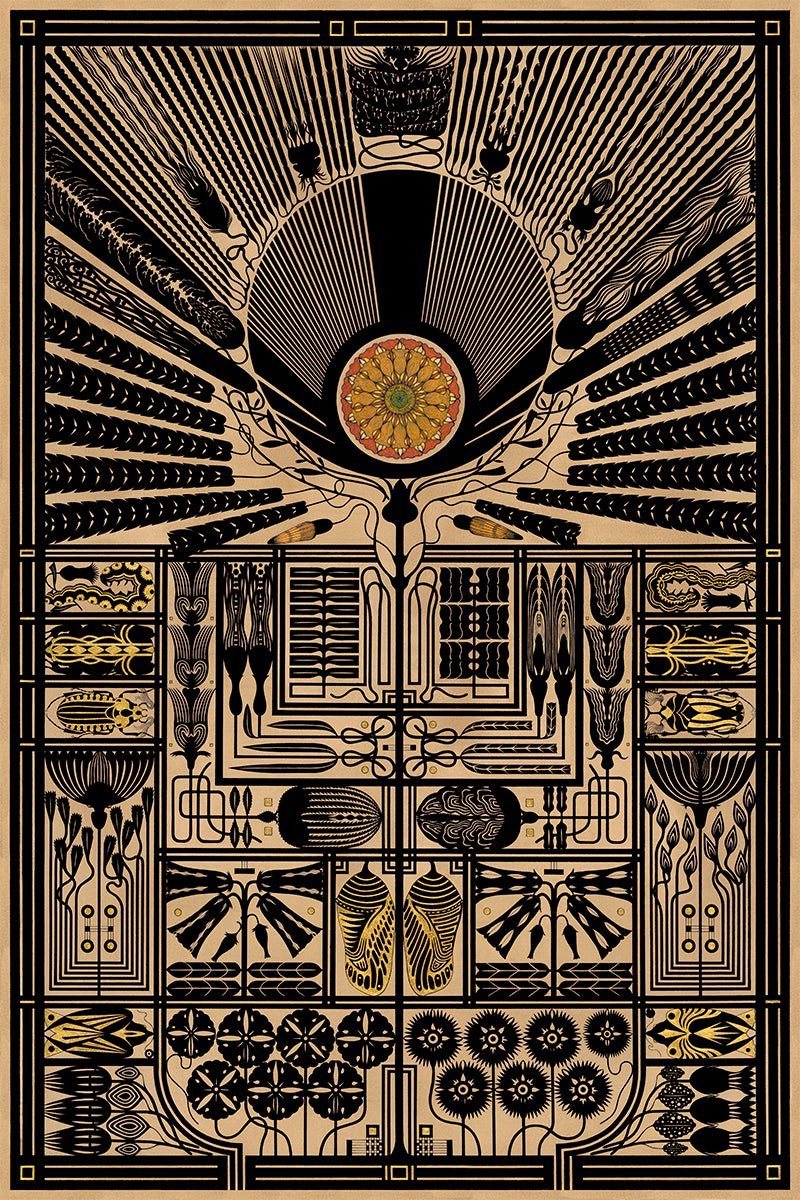 tiim_koch's tweet image. Marsha Robinson