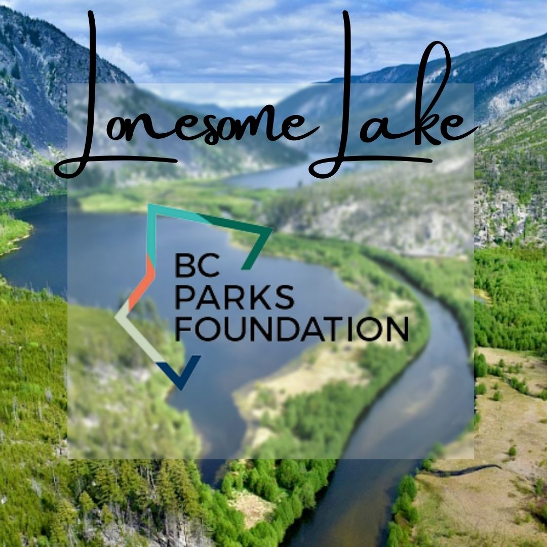 Last week we shared BC Parks Foundation's project to raise funds to purchase the ecologically important Lonesome Lake. We're pleased to announce they succeeded! Thanks to everyone who made their contribution.
bcparksfoundation.ca/projects/enhan…
#lonesomelake #bcparksfoundation #fundraiser