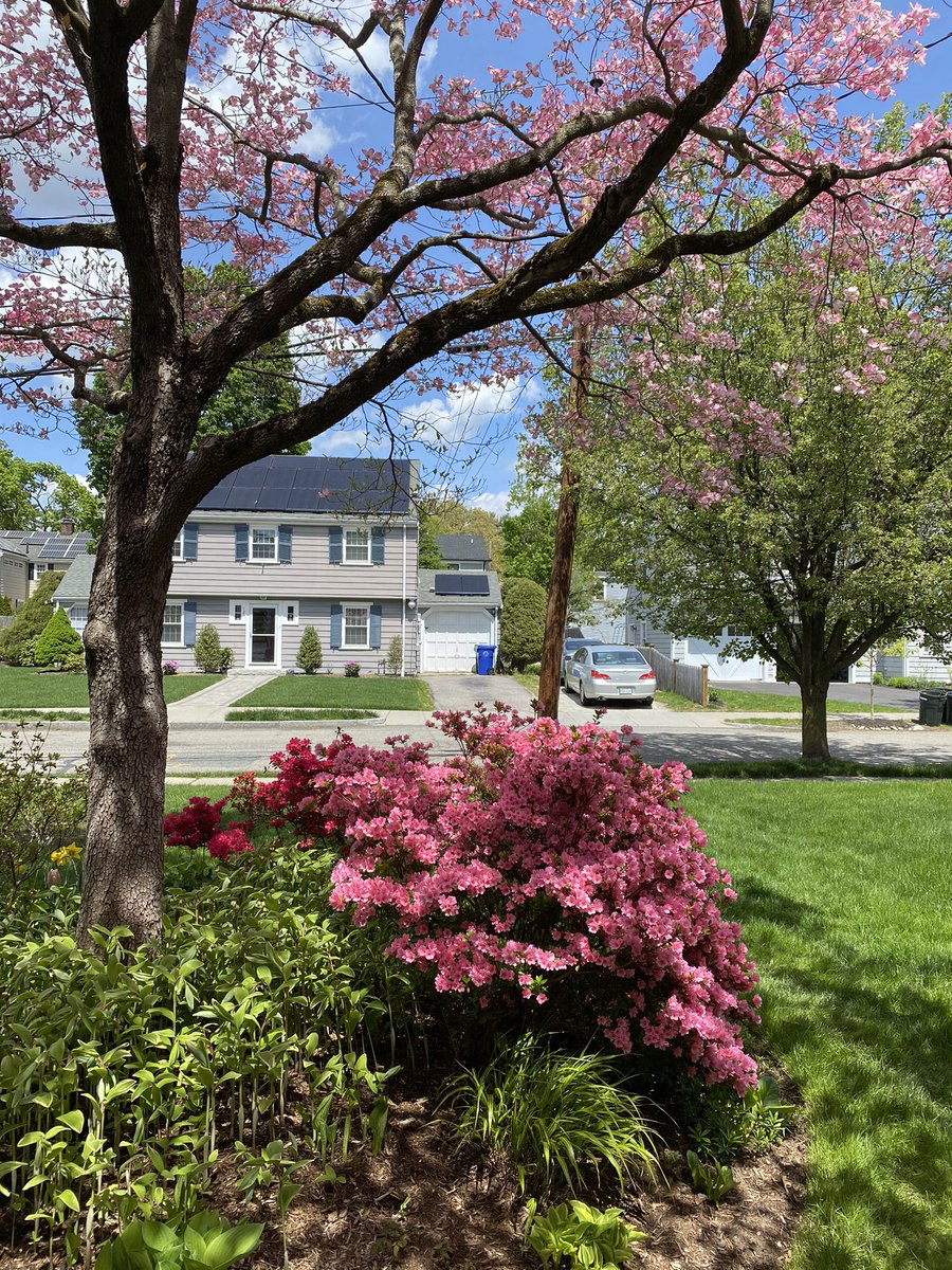 Joe Waters 😈😇 tweet media