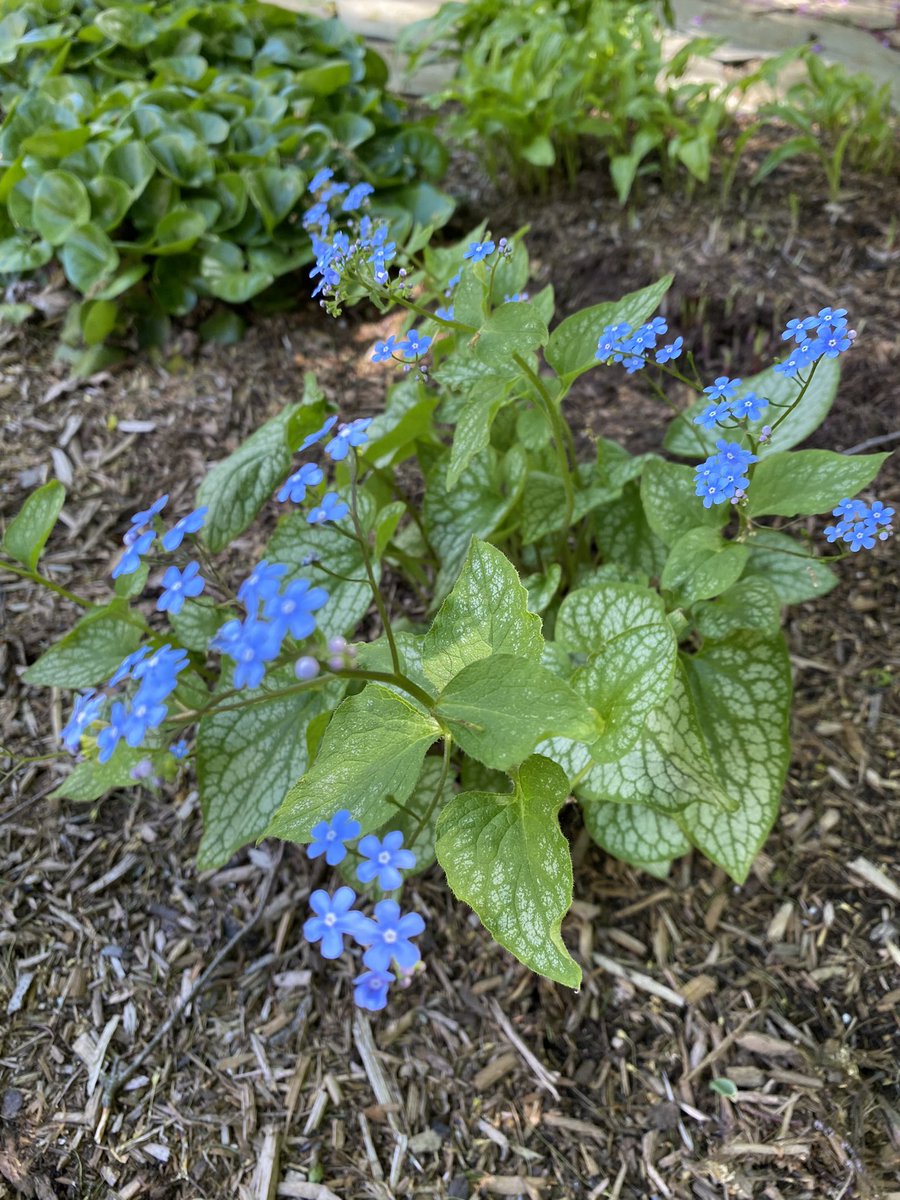 Joe Waters 😈😇 tweet media