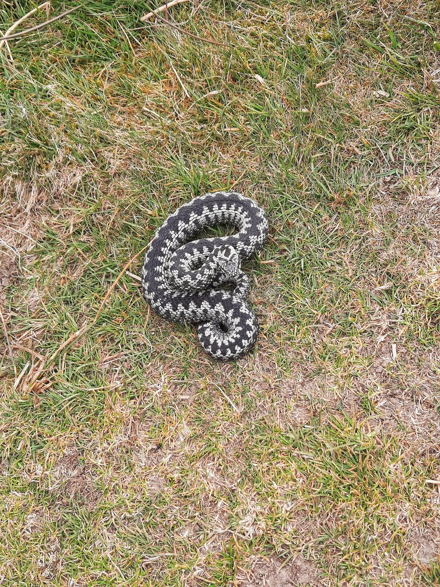 Barbara Radzikowska tweet media