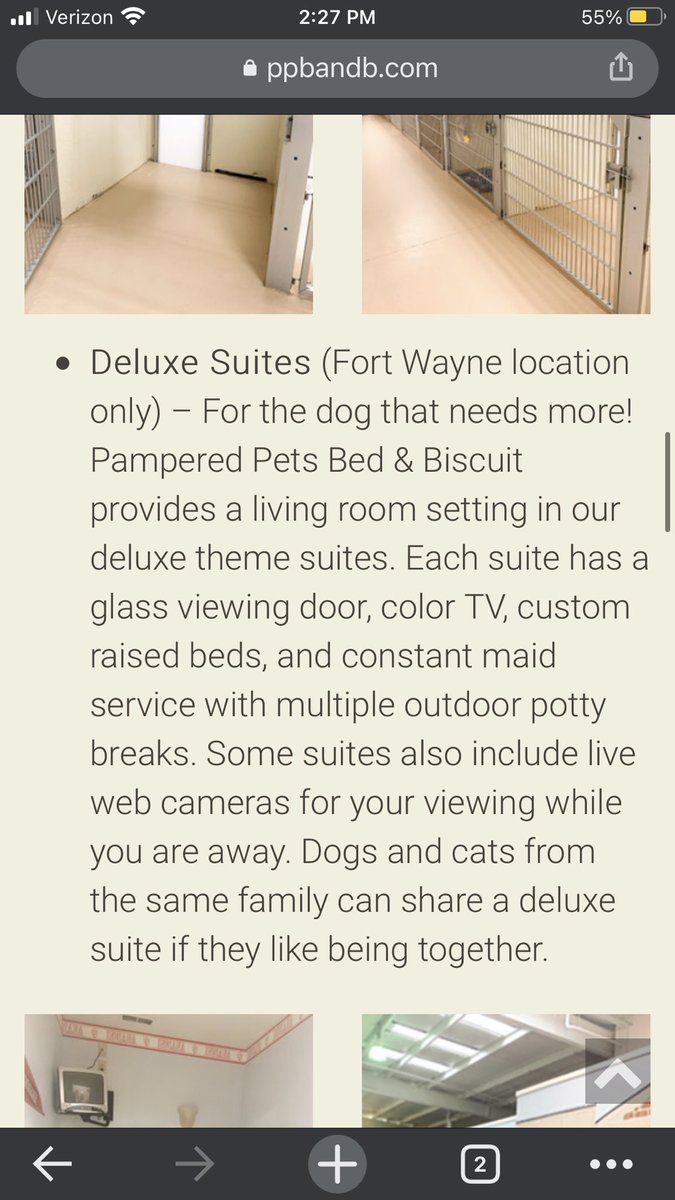 haehayy's tweet photo. So we decided to board our doggo for the wedding and @TheAchorMan decided P requires the deluxe package… 

Our dog is going to have his own tv and a live stream. 🤦🏼‍♀️ https://t.co/V2cPbJjb5l