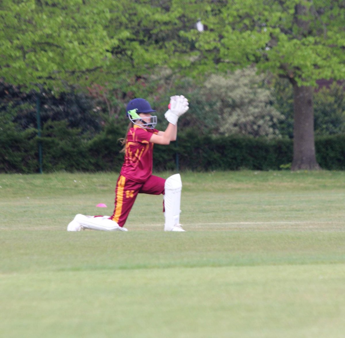 Kim Lunt tweet media