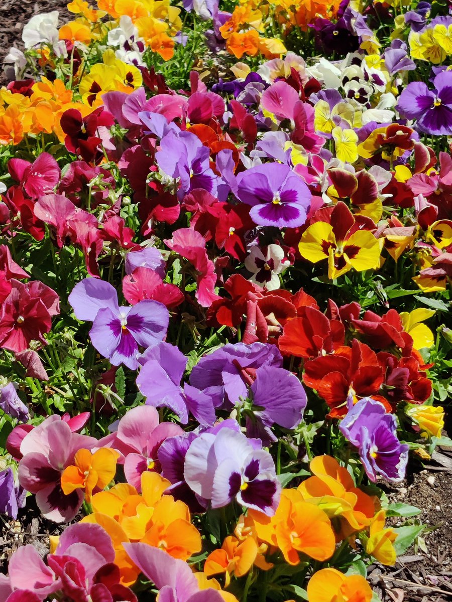 A mother’s love is everything. It is what brings a child into this world. It is what molds their entire being. When a mother sees her child in danger, she is literally capable of anything. A mother’s love is the strongest energy known to mankimnd.” —Jamie McGuire