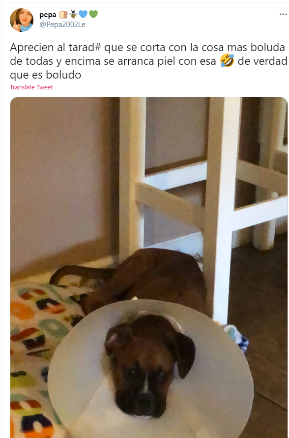 pepaocc's tweet photo. https://t.co/2mXGsbmxBl