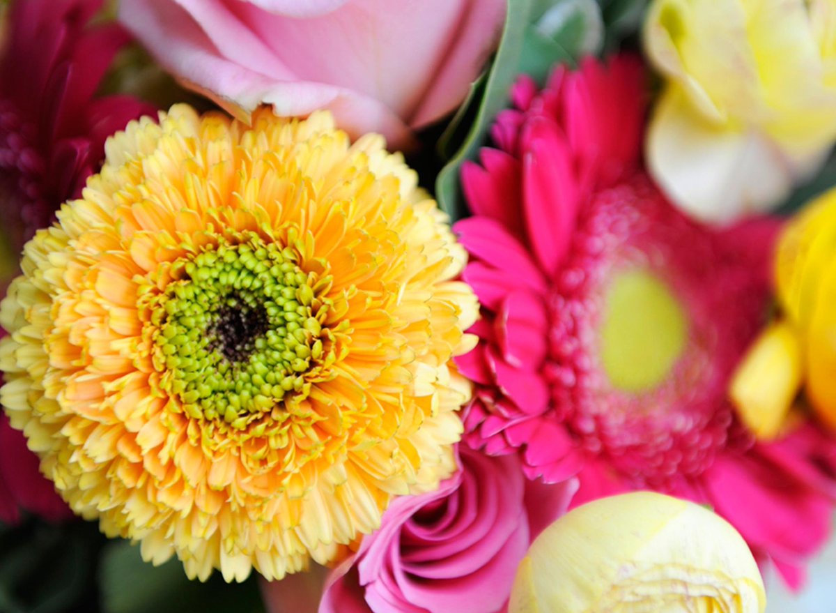 DianisEdSystems's tweet photo. Happy Mother's Day! https://t.co/ubCjETzLsa