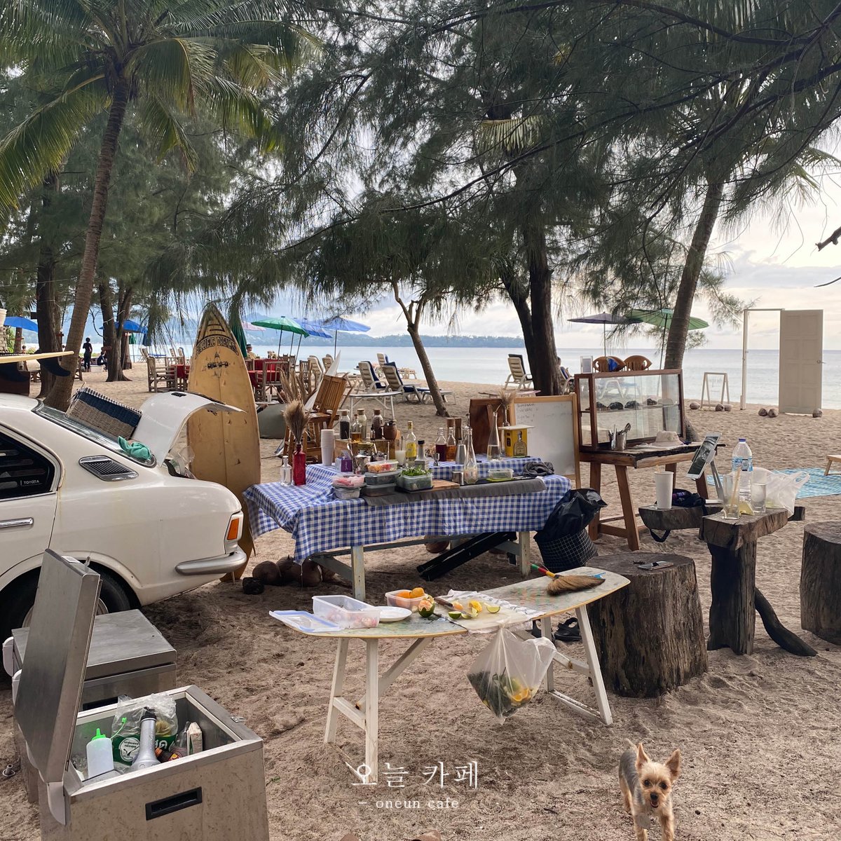 oneuncafe's tweet image. White Bus Bar
⌂ Layan Beach l Phuket
⊖ Tue-Sun 10.30am-18.30pm (Mon Closed)
คาเฟ่ป็อปอัปติดหาดลายันฟิวแคมป์ปิ้งริมทะเล มีซิกเนเจอร์เป็นชาพีชมะม่วงหาวมะนาวโห่ มีตั้งแต่กาแฟยันค็อกเทล มีขนมครัวซองเล็กๆ ตอนเย็นมีคนพาฝูงน้องหมามาเดินเล่นริมทะเลด้วย! #oneuncafe #รีวิวคาเฟ่ @aroii