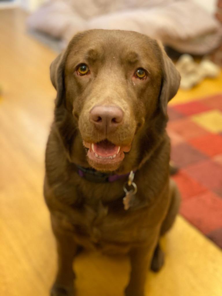 <a href="/Pierce__Joyce/">Pierce Joyce</a> <a href="/JasperDommett/">Jasper Dommett 🏳️‍🌈🏳️‍⚧️</a> <a href="/RWCMD/">Royal Welsh College of Music & Drama</a> <a href="/RWCMDComposers/">RWCMD Composers</a> She loved it! Very impressed🤩