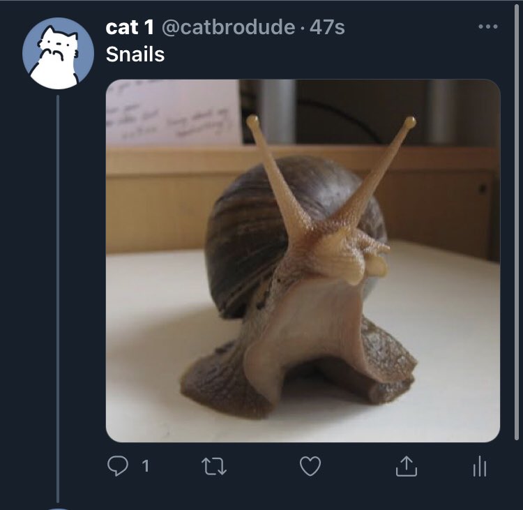 catbrodude's tweet photo. @catdudebro WHAT https://t.co/swf89zegQf