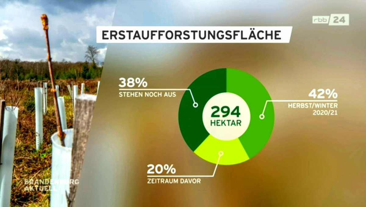 #treelon 
According to German environmental law, Tesla must plant a new tree for every one that is cut down. 
The cleared area is equivalent to 294ha, of which 62% has already been replanted and the remaining 38% will be planted this year.

carried out by:<a href="/nfg_brandenburg/">Naturraum für Generationen</a>
