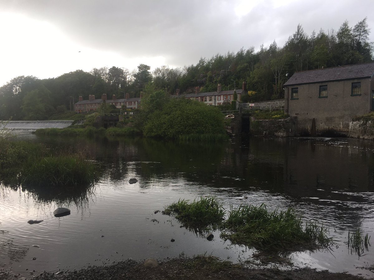 LeonardT19's tweet image. Doing our bit for Ireland’s river water quality @InSequins @DCUWater #riverliffey#griffeenriver